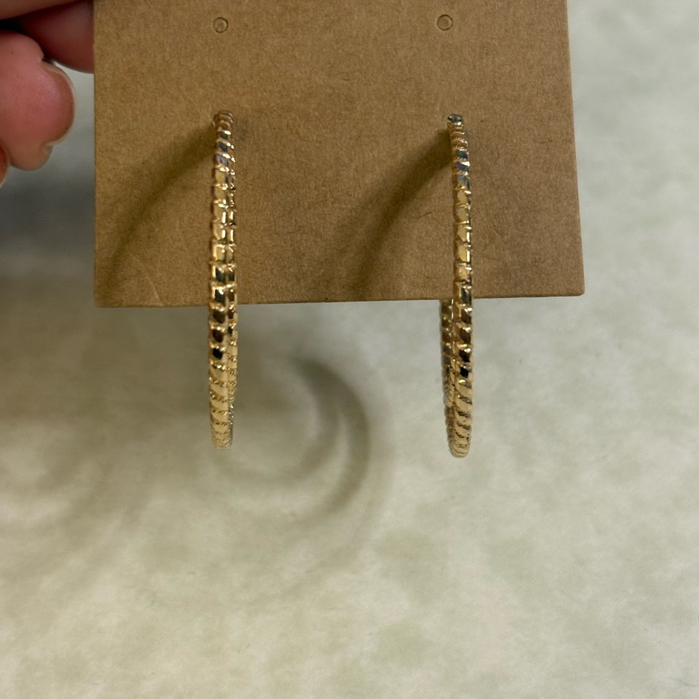 Elegant Gold Hoop Earrings